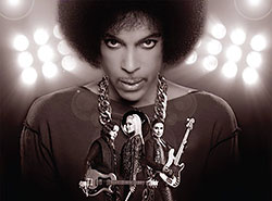Prince 2014 UK Arena Tour